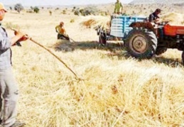 Yerli üreticiyi korumak yerine ithalata bağımlı hale gelmenin faturası ağır olacak