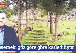 Yesemek, göz göre göre katlediliyor