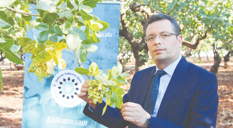 ‘Yeşil Altın’ın hem ömrü uzayacak hem de değerinde satılacak