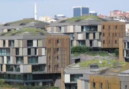 Yeşil çatı sistemleri bahçe keyfini çatılara taşıyor