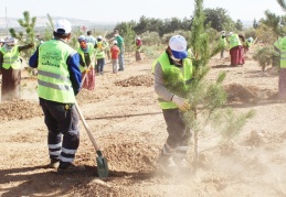 "Yeşil Şehirler Huzurlu Nesiller" sloganıyla ağaçlar toprakla buluştu