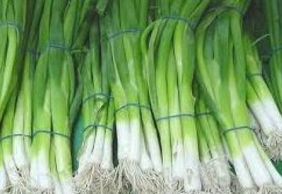 Yeşil soğan lider, kabak ikinci sırada