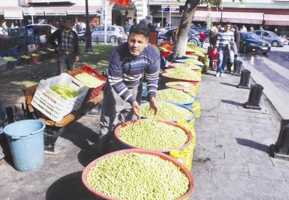 Yeşil zeytin sezonu