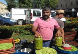 Yeşil zeytin tezgahlarda görücüye çıktı