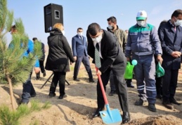 Yeşili, nüfusa bağlı olarak artırmak zorundayız