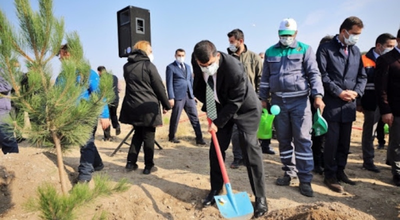 Yeşili, nüfusa bağlı olarak artırmak zorundayız
