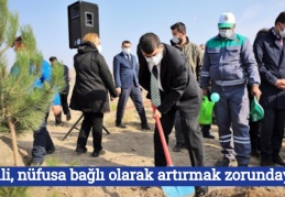 Yeşili, nüfusa bağlı olarak artırmak zorundayız