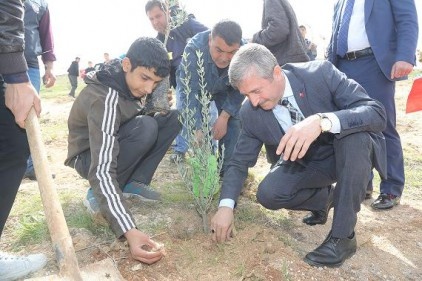 Yeşilvadi Parkı&#8217;na 1000 adet  Çam, 750 adet zeytin fidanı dikildi