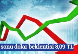 Yıl sonu dolar beklentisi 8,09 TL