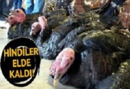 Yılbaşı öncesi satışa çıkan hindiler elde kaldı