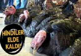 Yılbaşı öncesi satışa çıkan hindiler elde kaldı