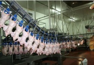 Yılda 32,6 kilogram et tükettik