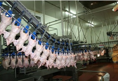 Yılda 32,6 kilogram et tükettik