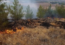 Yıldırım düşmesi sonucu ormanda yangın çıktı