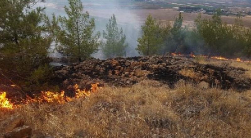Yıldırım düşmesi sonucu ormanda yangın çıktı