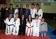 Yıldızlar ve gençler Taekwondo Şampiyonası yapıldı