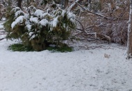Yılın ilk karı Şubat’ta geldi