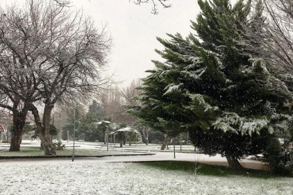Yılın ilk karı yağdı