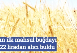 Yılın ilk mahsul buğdayı 2.22 liradan alıcı buldu