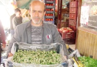 Yılın ilk yerli badem çağlası 25 liradan satışa sunuldu