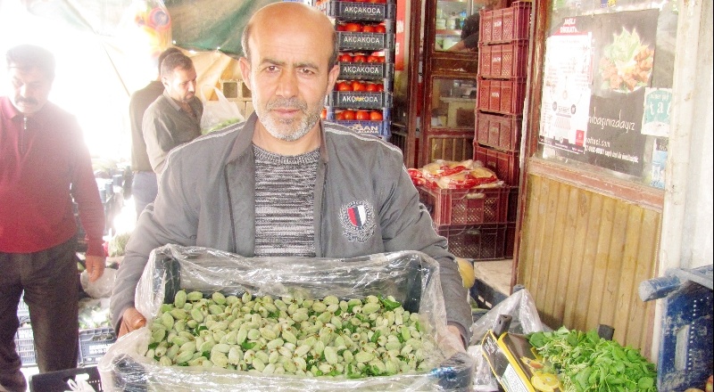 Yılın ilk yerli badem çağlası 25 liradan satışa sunuldu