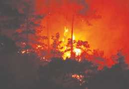 Yıllar içinde yangınlar artmasına rağmen kullanılan uçak sayısı azalmış