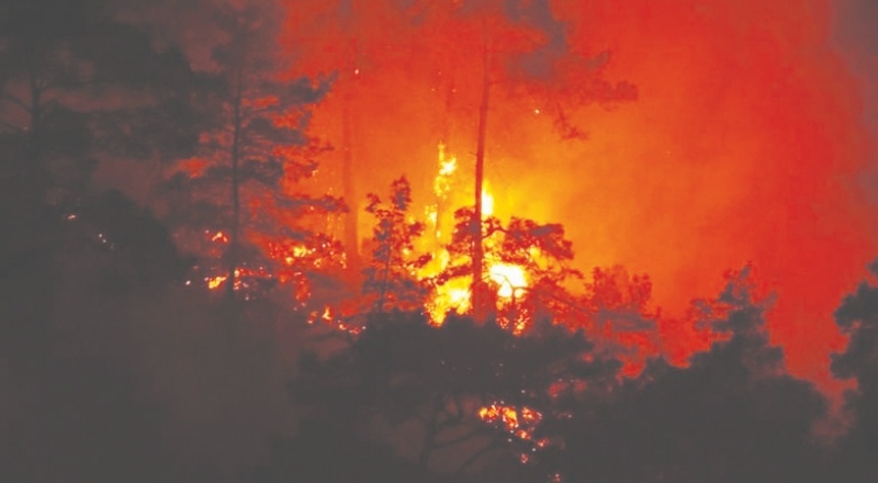 Yıllar içinde yangınlar artmasına rağmen kullanılan uçak sayısı azalmış