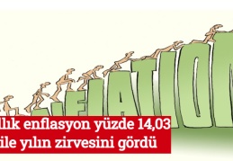 Yıllık enflasyon yüzde 14,03 ile yılın zirvesini gördü