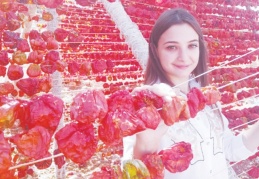 Yıllık ortalama 150 milyon adet kuruluk üretiliyor