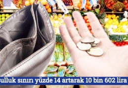 Yoksulluk sınırı yüzde 14 artarak 10 bin 602 lira oldu
