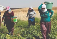 Yoksulluktan en fazla kadınlar etkileniyor