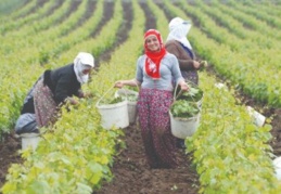 Yoksulluktan en fazla kadınlar etkileniyor
