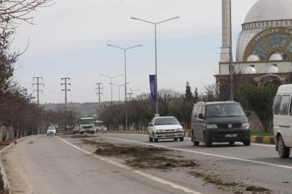 Yola dökülen gübre, trafikte tehlikeye neden oldu