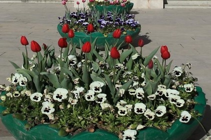 Yollar, çiçeklerle donatılıyor 