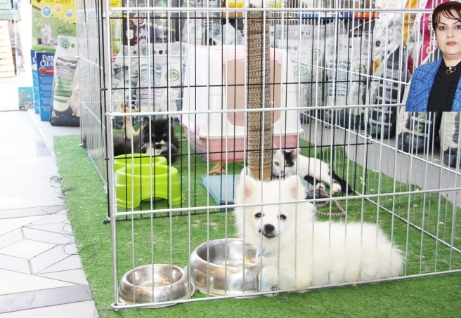 Yönetmelik, kayıtsız, merdiven altı hayvan üretimi ve satışına engel olacak