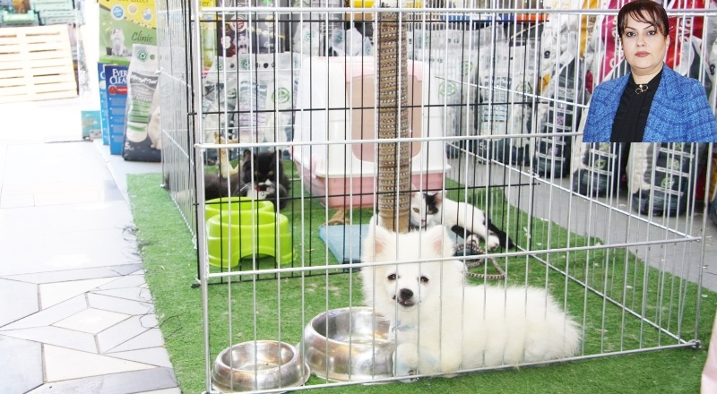 Yönetmelik, kayıtsız, merdiven altı hayvan üretimi ve satışına engel olacak