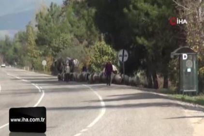 Yörük göçü ilginç görüntüler oluşturdu