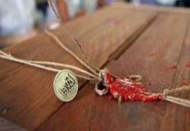 YSK, elektrik kesintisine ,karşı jeneratör tedbiri aldı