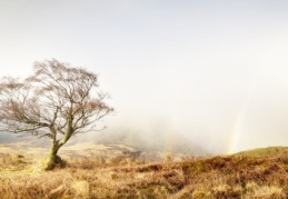 Yük treni makinisti manzara fotoğrafı ödülü kazandı
