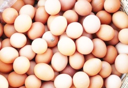 Yumurta fiyatları bir yılda iki katına çıkı