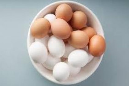 Yumurta üretimi 0.2 arttı, süt üretimi azaldı
