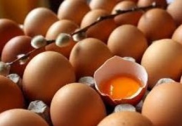 Yumurta üretimi arttı