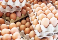 Yumurtanın tanesi 2.5 lira oldu