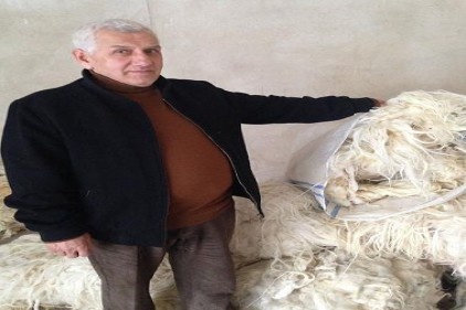 Yün yatak kültürümüz bitti