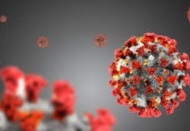 Yunanistan, Türkiye ile kara ve deniz sınırlarını yeniden açıyor