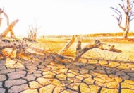 Yurdun tamamında, kuraklık yönetim planları hazırlanıyor