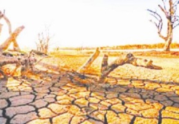 Yurdun tamamında, kuraklık yönetim planları hazırlanıyor