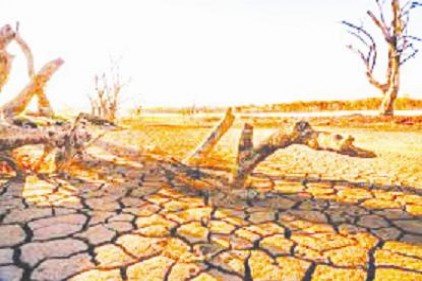 Yurdun tamamında, kuraklık yönetim planları hazırlanıyor