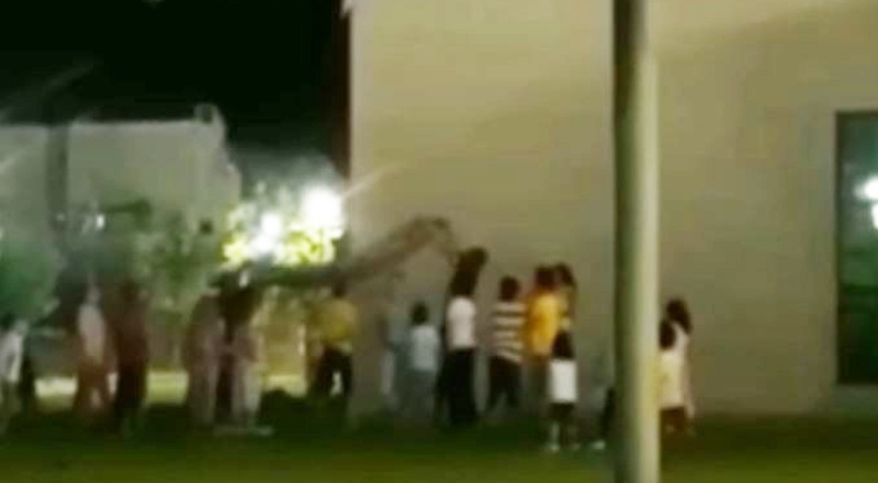 Yürek ısıtan kedi kurtarma operasyonu