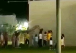 Yürek ısıtan kedi kurtarma operasyonu